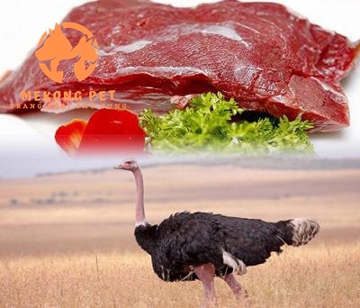 Thịt đà điểu là món ăn ngon, giàu chất dinh dưỡng, dành cho giới nhà giàu, nhiều tiền